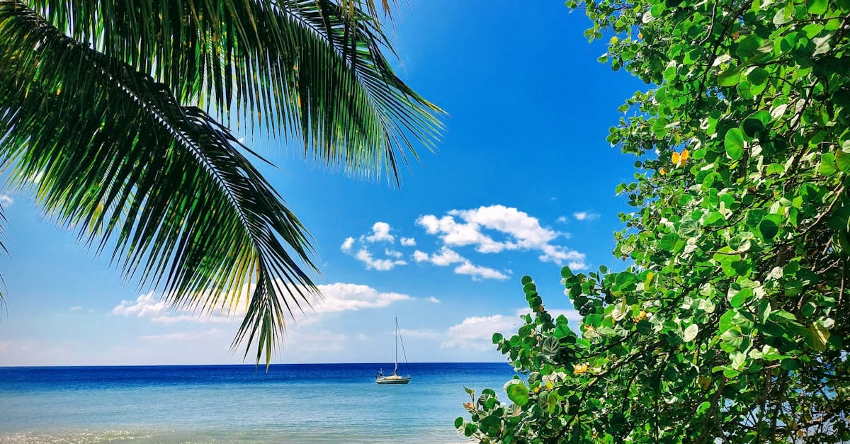 Martinique